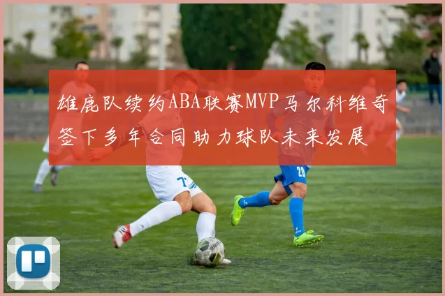 雄鹿队续约ABA联赛MVP马尔科维奇签下多年合同助力球队未来发展